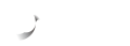 动微视觉 logo
